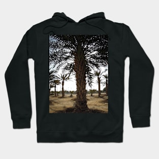 palm trees in the morning Hoodie